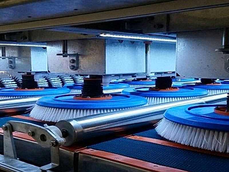 Darıca Halı Yıkama 2 Darıca Halı Yıkama ile halılarınız ilk günkü gibi.