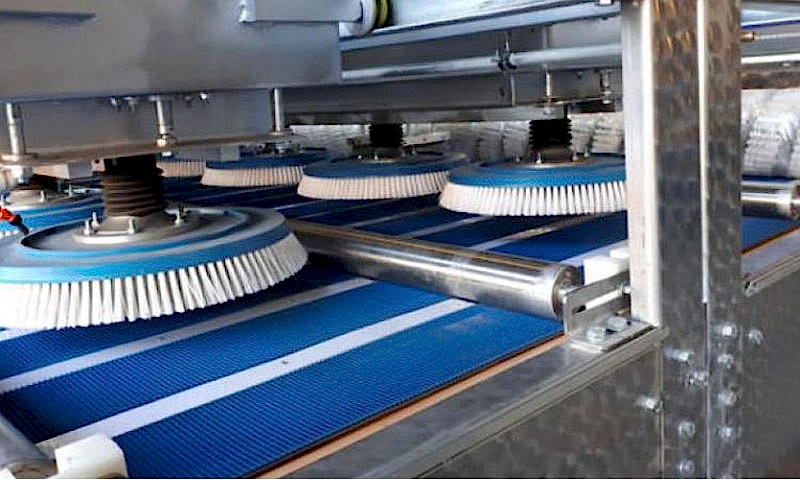 Darıca Halı Yıkama 4 Halılarınız bizimle güvende! Darıca Halı Yıkama.