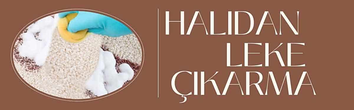 Halılarınız ilk günkü gibi parlasın!