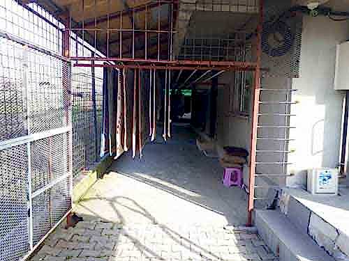 Halılarınızın yeniden doğuşuna tanık olun! Pendik'teki uzman ekibimizle halılarınızı ilk günkü gibi tertemiz yapıyoruz.